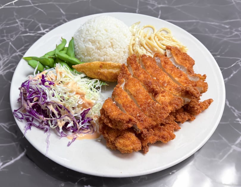 Crispy fried chicken katsu, white rice, edamame, cabbage salad, and pasta on a white plate.